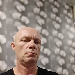, 41, 
