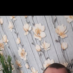 ������, 39 ���, ������������