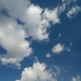 ���� ������, ���������, 54 ���� - ��������� 12 ������ 2023