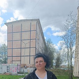 , 53, 