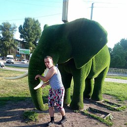 ���� ������, ������, 43 ���� - ��������� 1 ������ 2024