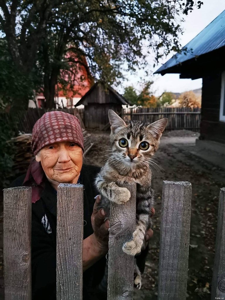   - 2