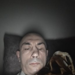  , 43 , 