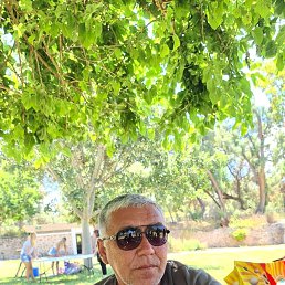 , 48, 