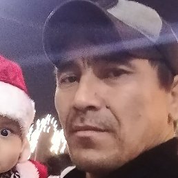 �������, �����, 41 ���