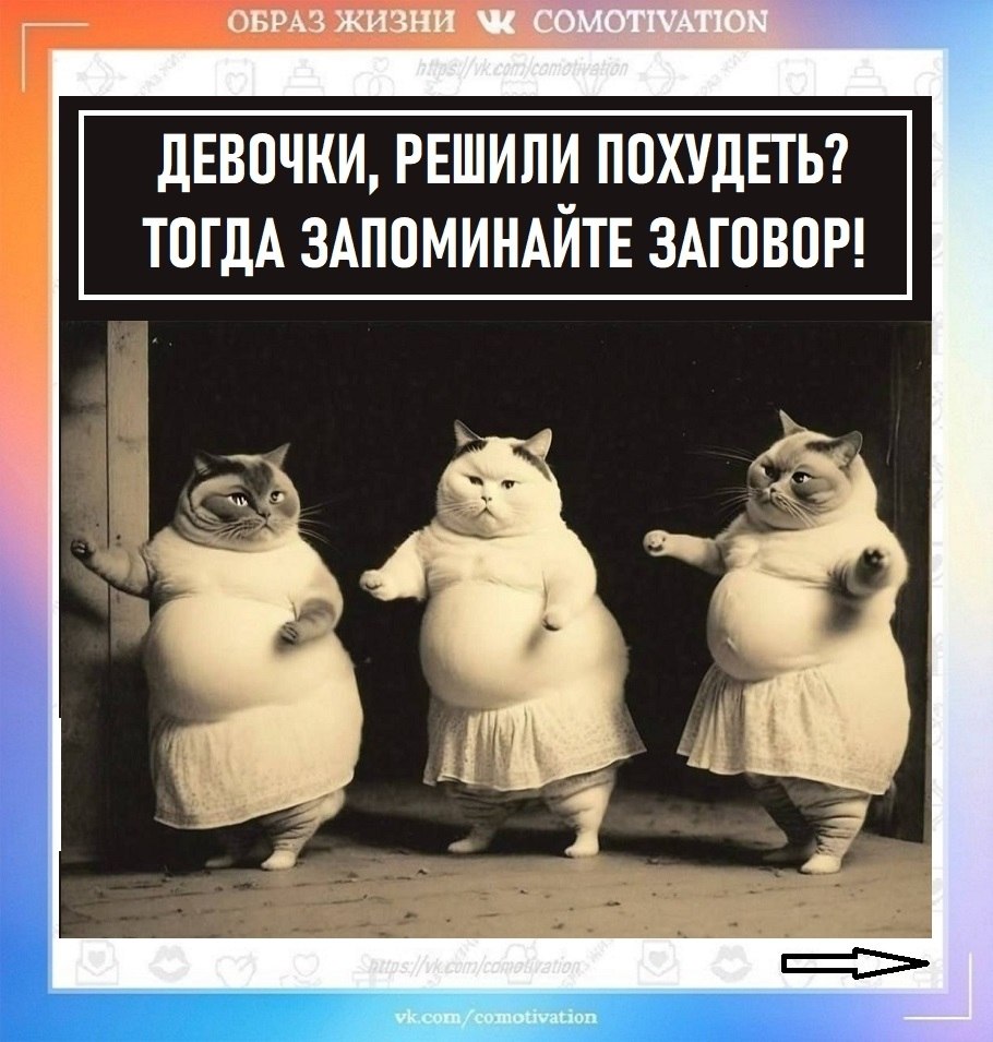 �� �����������.