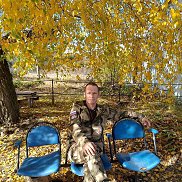 , 41 , 
