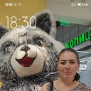 ���� ����, ������, 34 ���� - ��������� 15 ����� 2026 � ������ ���� ����������