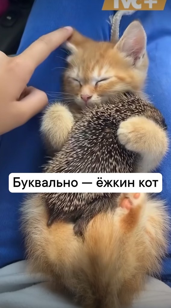 Рецепты - 19 августа 2025 в 16:13