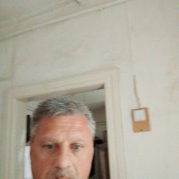 , 55, 
