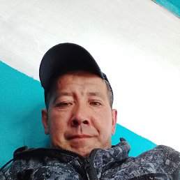 , 41, 