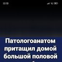 ���� �lek$, ��������� - ��������� 28 ���� 2026
