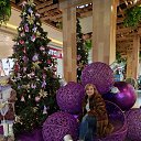 ���� ����, ������-��-����, 41 ��� - ��������� 19 ������� 2026 � ������ ���� ����������
