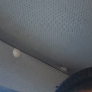 , 46 , 
