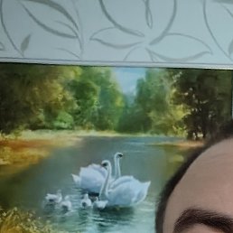 ����, ��������, 49 ���