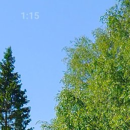 Taliman, ���������, 42 ����