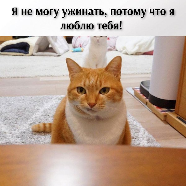 ��� ���� � ����� �� �� - 27 ������ 2026 � 12:42 - 3
