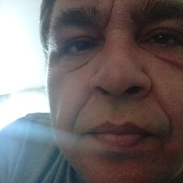 ��������, 40 ���, ����