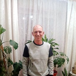 , 52, 