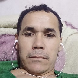 ����, �����-���������, 41 ���