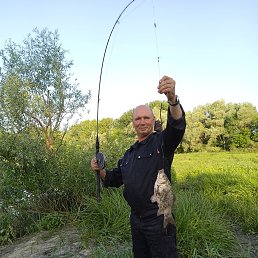 , 63, 