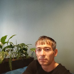, 32 , -