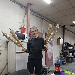 , 37 , --