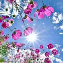 ���� ���������, ���������, 39 ��� - ��������� 19 ���� 2025