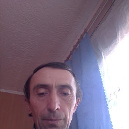, 53, 