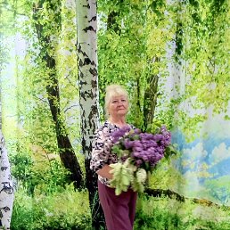 ���, ���������, 68 ���