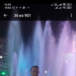 , 58, 