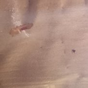 , 39 , 