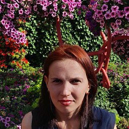 , 32 , 