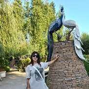 ���������, , ����������