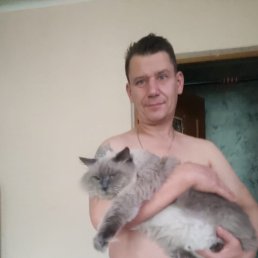 �������, 45 ���, �������