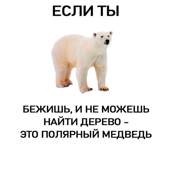 . - 3