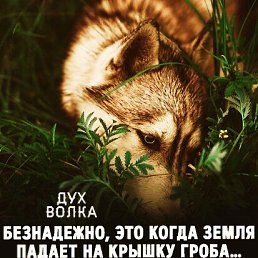 ���� ���, �����, 43 ���� - ��������� 24 ��� 2026