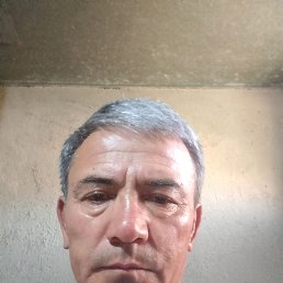 , 49, 