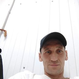 �������, ������, 41 ���