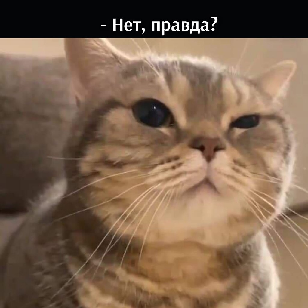 ��� ���� � ����� �� �� - 18 ������� 2025 � 11:03 - 3
