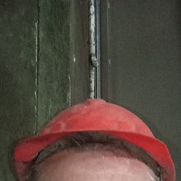 , 49, 