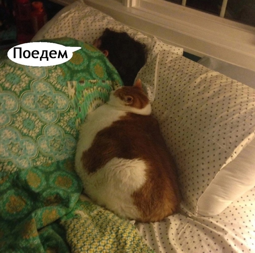    - 2