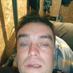 �������, 40 ���, ����