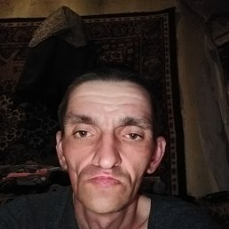 , 41, 