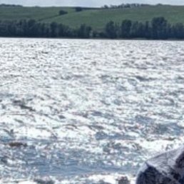 ����, ������, 36 ���