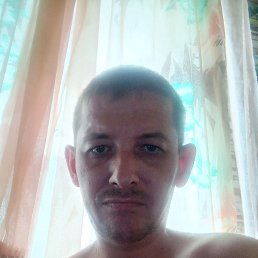 , 41,  