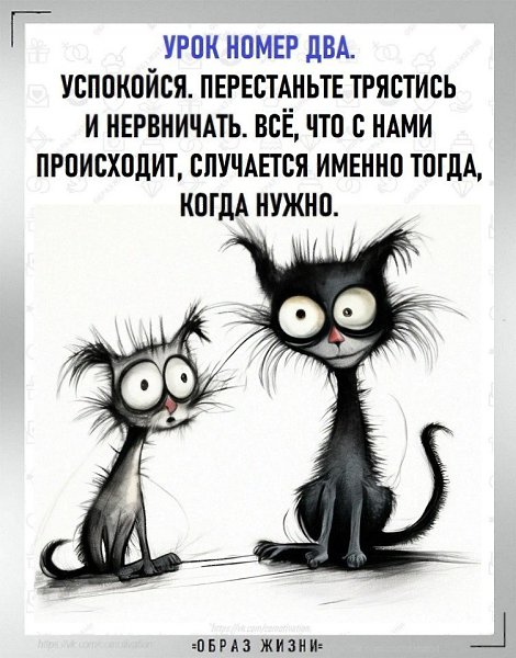 Co-Motivation.... . - 19  2025  18:17