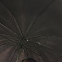 ���� ������, ����������, 56 ��� - ��������� 26 �������� 2026