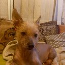 ���� ����, ������-��-����, 58 ��� - ��������� 29 ������� 2025 � ������ ���� ����������