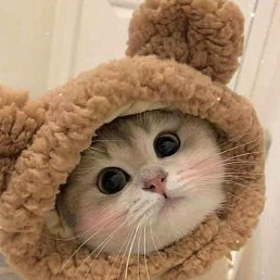 ���� ������, ���������, 27 ��� - ��������� 5 ������� 2025